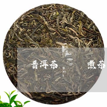 普洱茶   煮茶/2023031707603